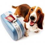 Traveling with pets